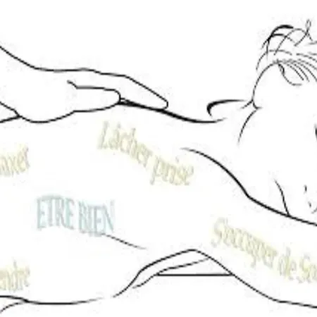 Mobile - 3 Beds - Family Pools *