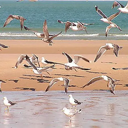 Mobile - 3 Beds - Family Pools