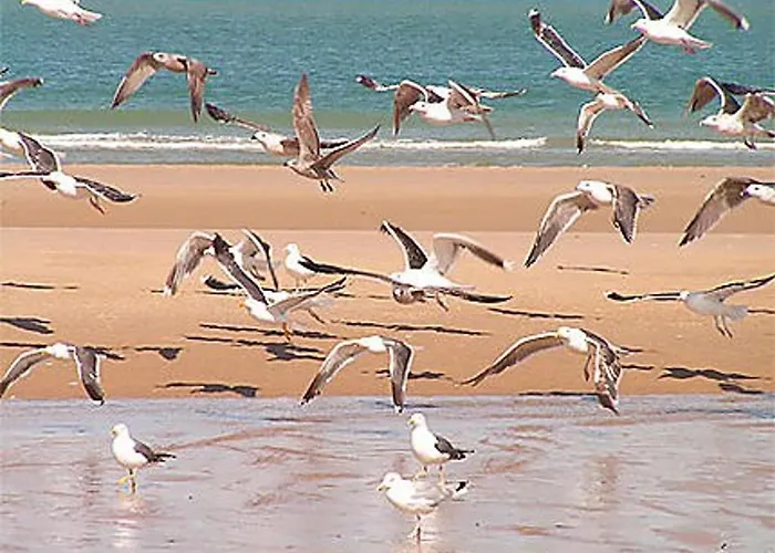 Mobile - 3 Beds - Family Pools