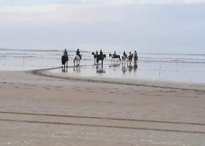 Mobile - 3 Beds - Family Pools 度假居 *